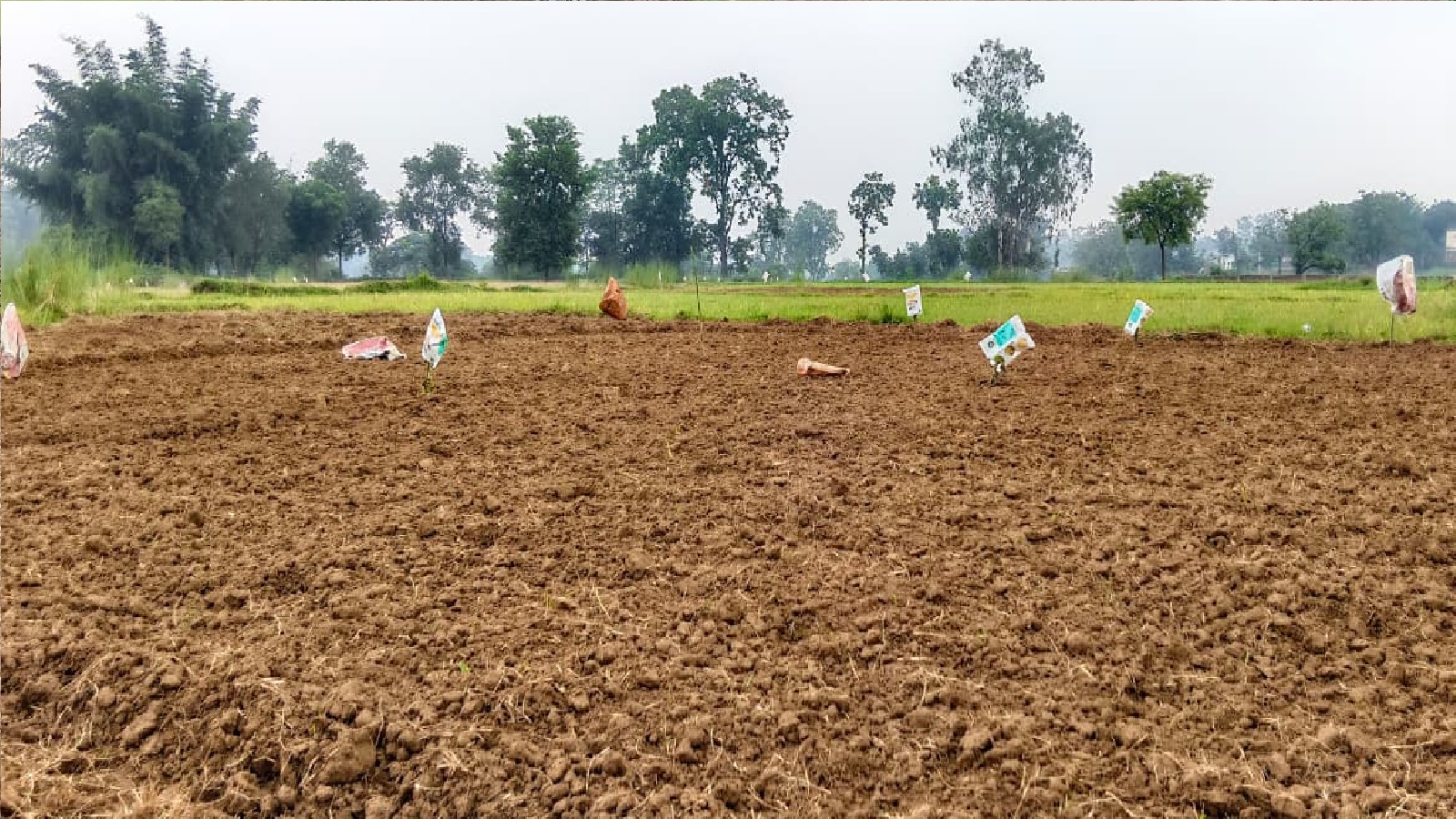 बिन पानी के सूखा खेत. 