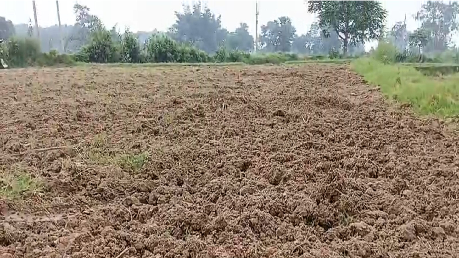 जुताई के बाद सूखा पड़ा खेत. 