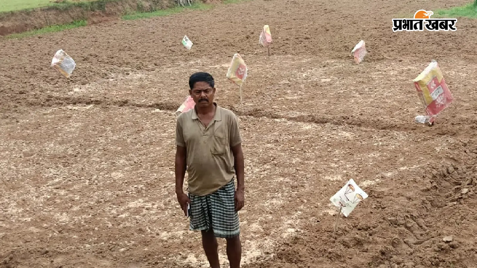 आसमान में मंडरा रहे बादल मगर सूखा है खेत, बिचड़ा बोने के बाद चिंतित हैं किसान