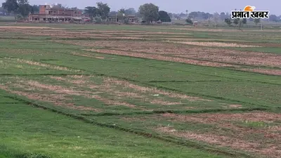 औरंगाबाद : मानसून की सुस्त चाल से खेती पर संकट, पानी के अभाव में धान रोपनी ठप