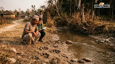 गन्ने के खेतों में छिपा है बाघ? बारिश ने बढ़ाई वन विभाग की मुश्किल, किसान खेत जाने से डर रहे