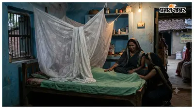 मच्छरदानी में घुसा सांप, किशोरी की ली जान