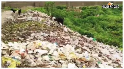 ढाई करोड़ खर्च के बाद भी नहीं सुधरी शिवगंगा की हालत, दुर्गंध से लोग परेशान