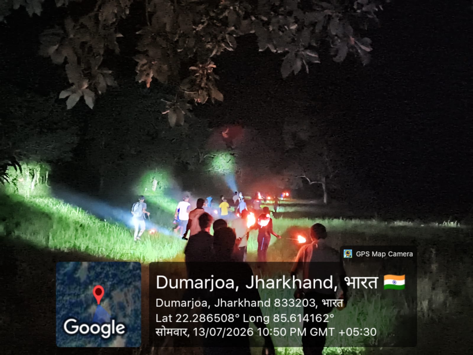 डूमरजुवा में 15 हाथियों के झुंड से दहशत, 11 को जंगल में खदेड़ा, 4 की तलाश जारी