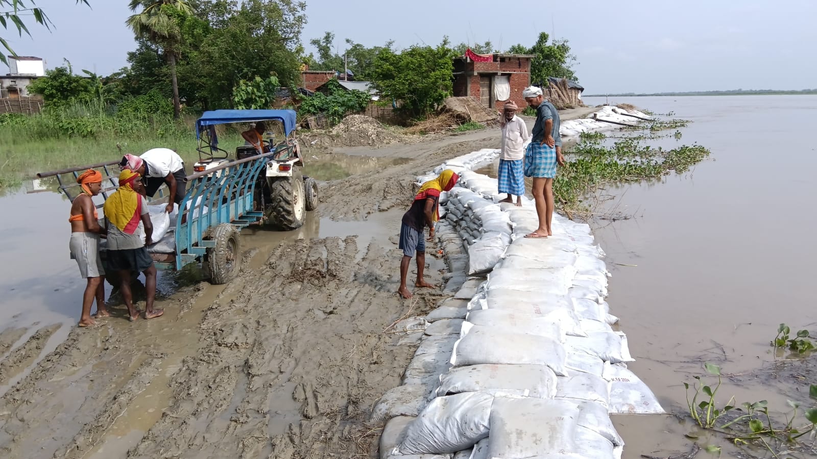 गंडक के बढ़ते जलस्तर से बाढ़ के मुहाने पर पश्चिम चंपारण के कई ब्लॉक, कटाव रोकने में जुटे ग्रामीण