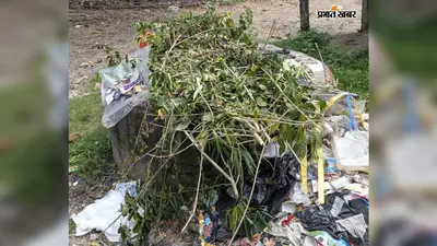 सार्वजनिक कुआं बना कूड़ेदान. लापरवाही से बढ़ा संक्रमण का खतरा