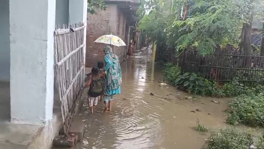 बारिश के बाद सिंगारपुर में जलजमाव से बढ़ी परेशानी, सड़क और नाला निर्माण की ग्रामीणों ने उठाई मांग