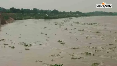 नेपाल में बारिश से उफान पर बागमती नदी, पार किया खतरे का निशान, बाढ़ का अलर्ट