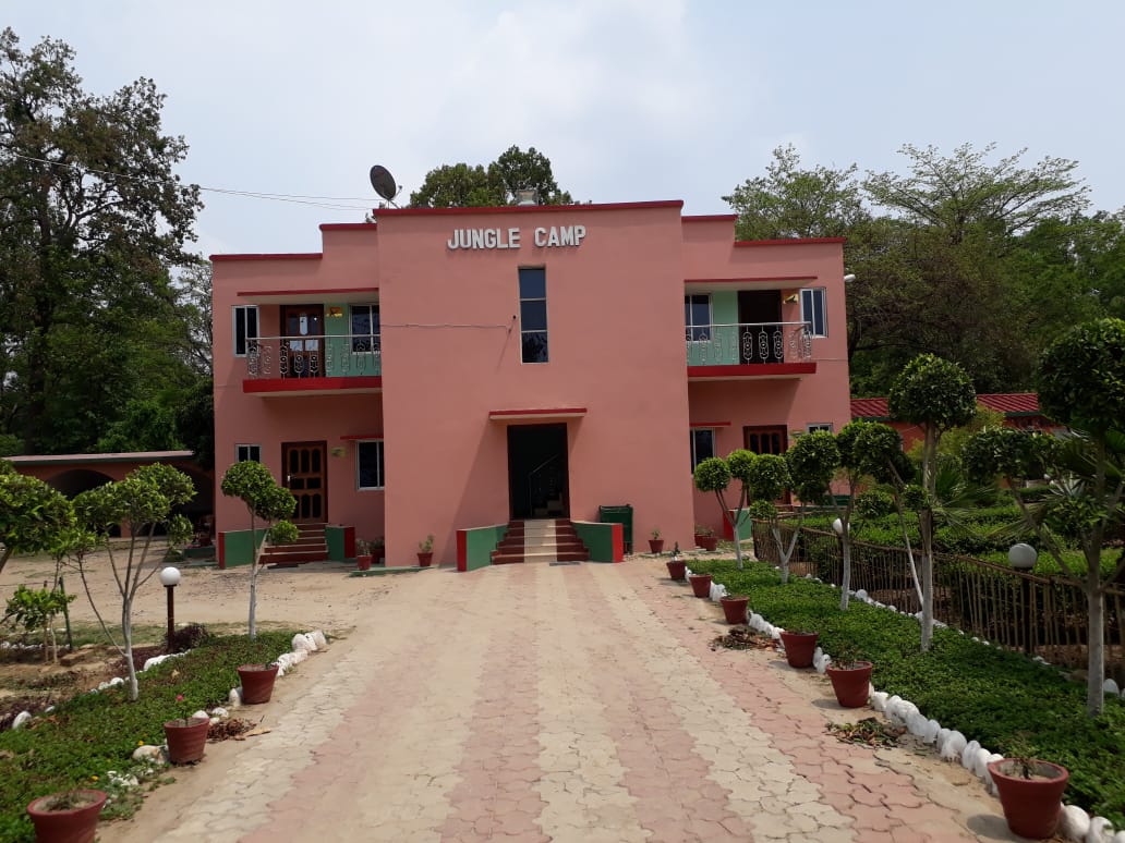 लगातार बारिश से वाल्मीकिनगर में पर्यटकों की संख्या घटी, स्थानीय कारोबार प्रभावित