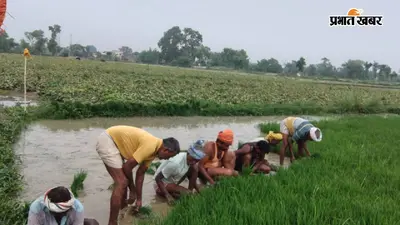 औरंगाबाद: बारिश की बेरुखी से धान रोपाई पर संकट, सबमर्सिबल के सहारे खेतों में उतरे किसान