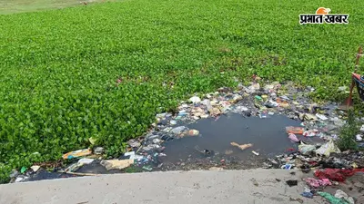 बेगूसराय: झमटिया गंगा घाट पर गंदगी का अंबार, जलकुंभी-कचरे के बीच स्नान को मजबूर श्रद्धालु