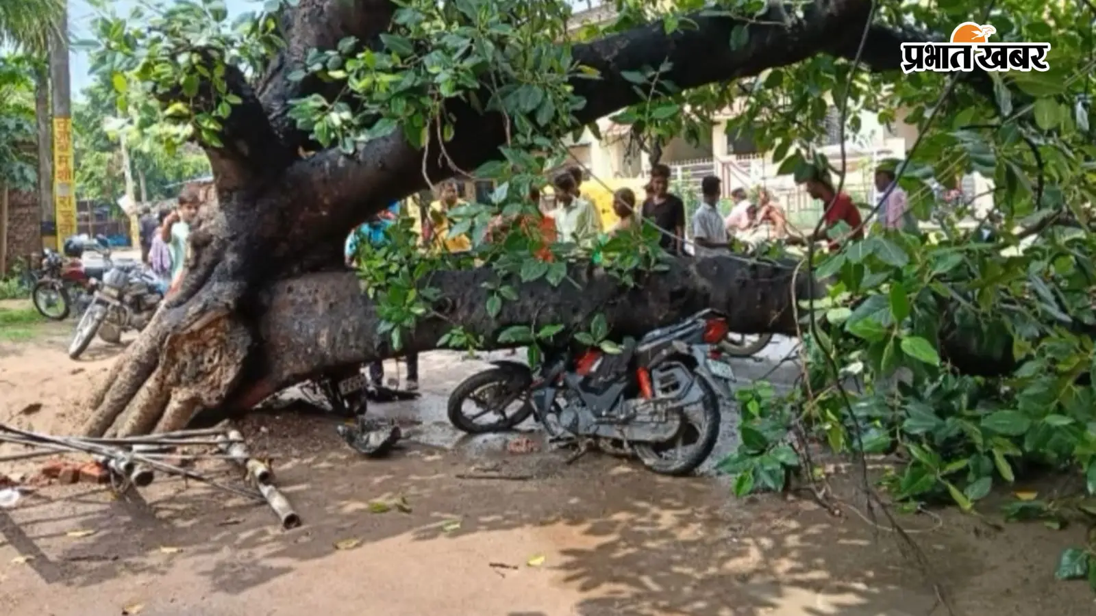 गया-पटना मुख्य मार्ग पर गिरा विशाल बरगद का पेड़, दो बाइक क्षतिग्रस्त, बड़ा हादसा टला