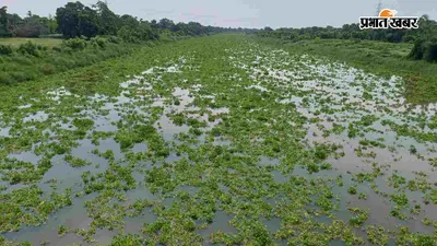 Muzaffarpur: बूढ़ी गंडक में अचानक बढ़ा पानी, पिलखी घाट पर दिखा डराने वाला नजारा, प्रशासन अलर्ट