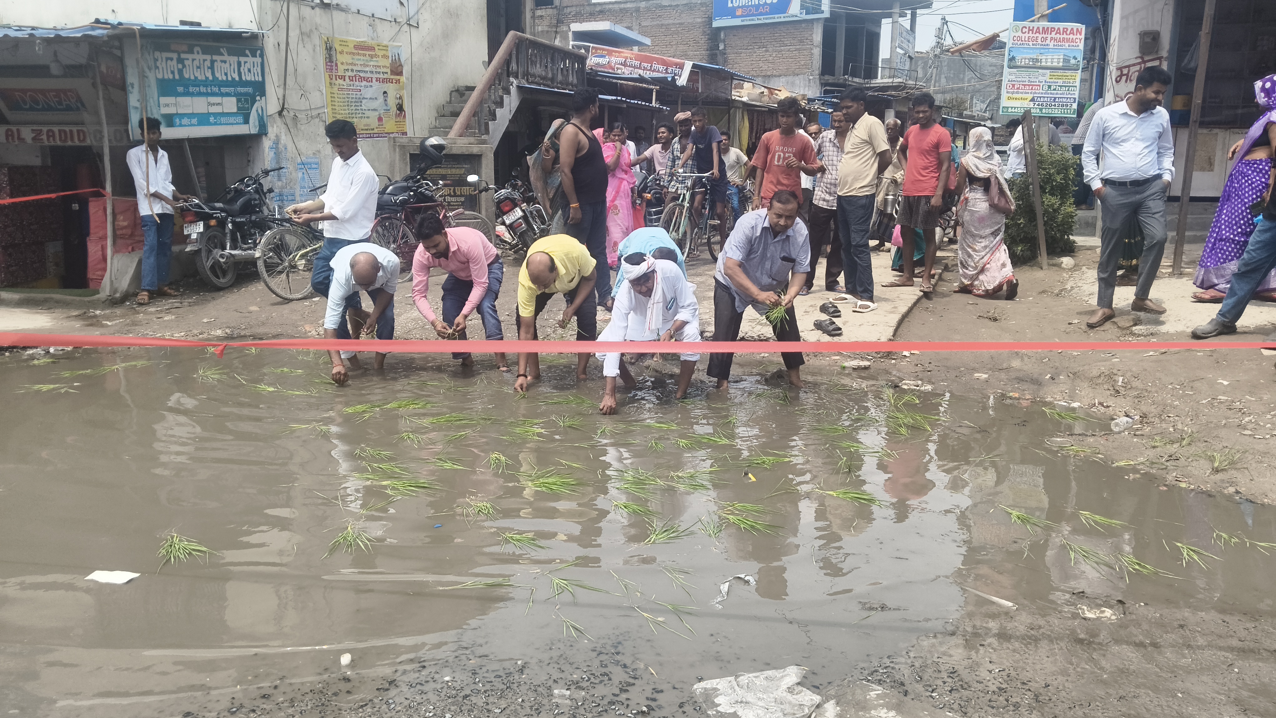 गोपालगंज के सिधवलिया में सड़क पर धान रोपकर व्यवसायियों का अनोखा प्रदर्शन, सड़क जाम कर उग्र आंदोलन की चेतावनी