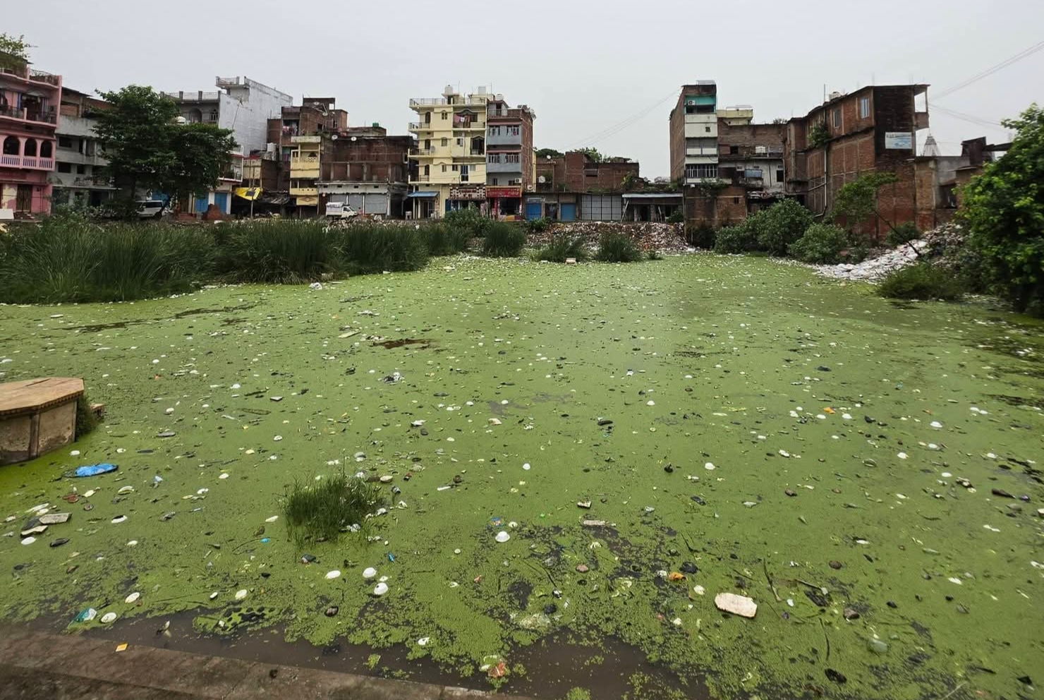 सीवान: सिसवन में युवाओं का स्वच्छता अभियान जारी, अब 600 वर्ष पुराने कुशेश्वर मंदिर पोखरे की होगी सफाई