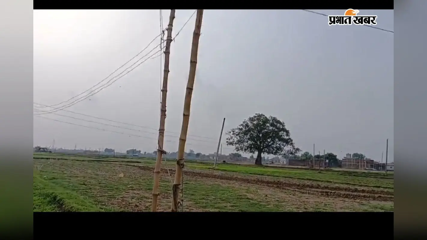 कैमूर: एक साल पहले लिया कनेक्शन, अब तक नहीं लगे पोल, बांस के सहारे खेतों तक पहुंच रही बिजली