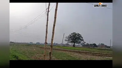 कैमूर: एक साल पहले लिया कनेक्शन, अब तक नहीं लगे पोल, बांस के सहारे खेतों तक पहुंच रही बिजली