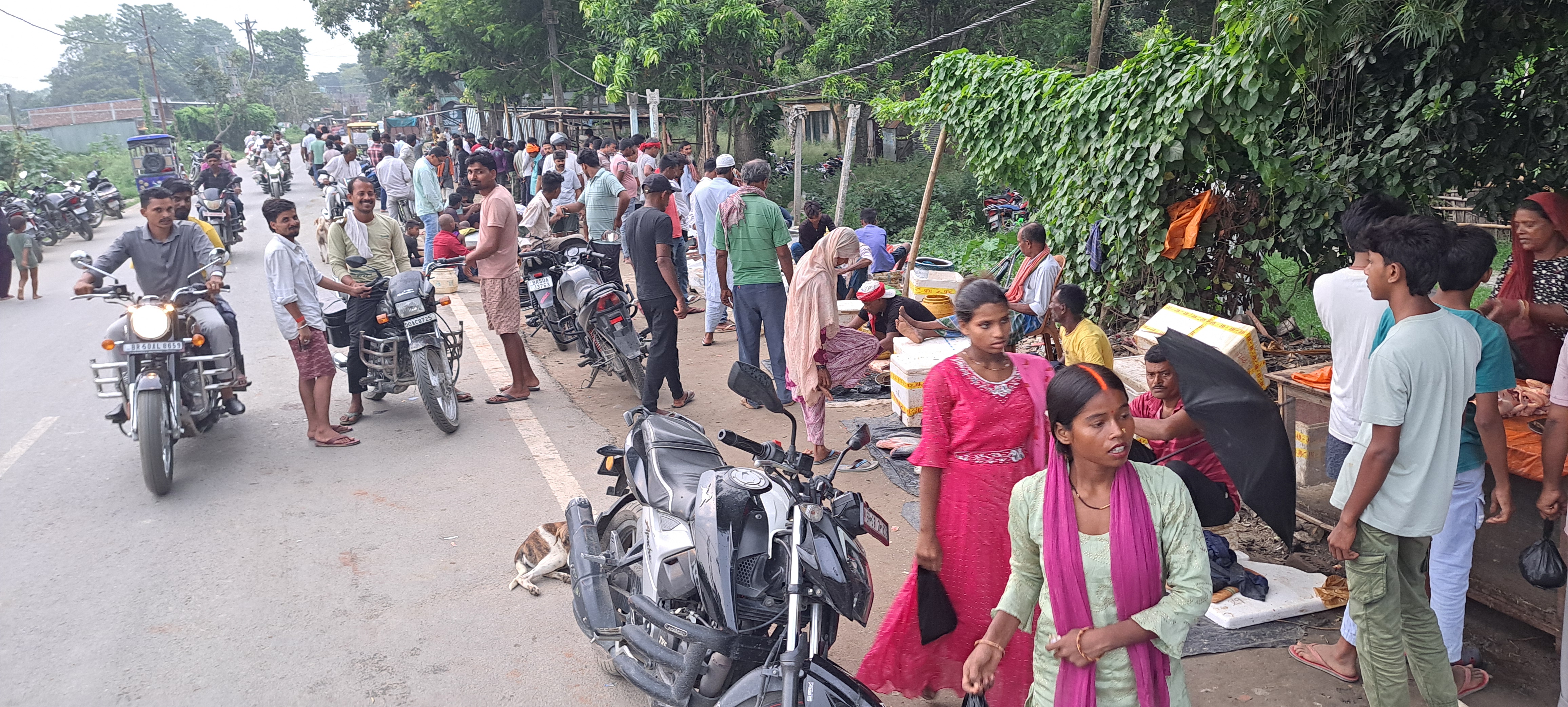 सुपौल के छातापुर में हाईवे किनारे सज रही मीट-मछली की दुकानें, बदबू और जाम से लोग परेशान