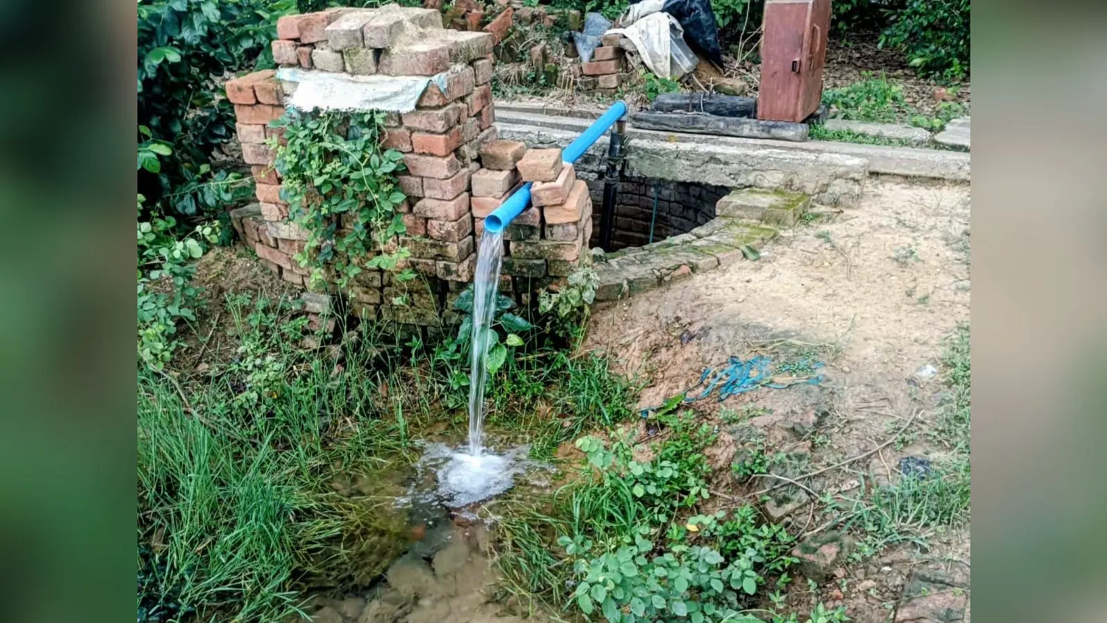 बक्सर: चौसा प्रखंड में बारिश नहीं होने और लो वोल्टेज से खेती और किसान प्रभावित, प्रशासन से कर रहे मांग व्यवस्था
