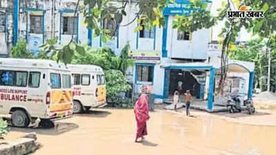 महाराजगंज पीएचसी में बारिश के बाद जलजमाव, ओपीडी और इमरजेंसी तक पहुंचना हुआ मुश्किल, मरीजों और गर्भवती महिलाओं को परेशानी