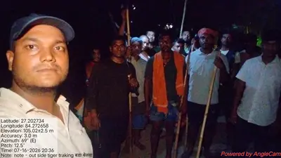 मसान नदी किनारे बाघ ने बछड़े का किया शिकार, गांवों में दहशत