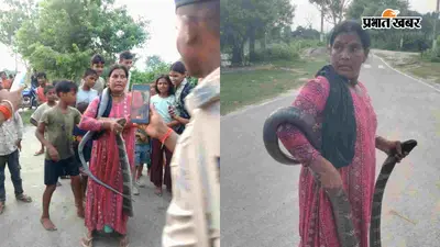 10 फीट लंबे कोबरा को कंधे पर लेकर घूम रही थी महिला सर्प मित्र, सांप ने डंसा, हालत गंभीर