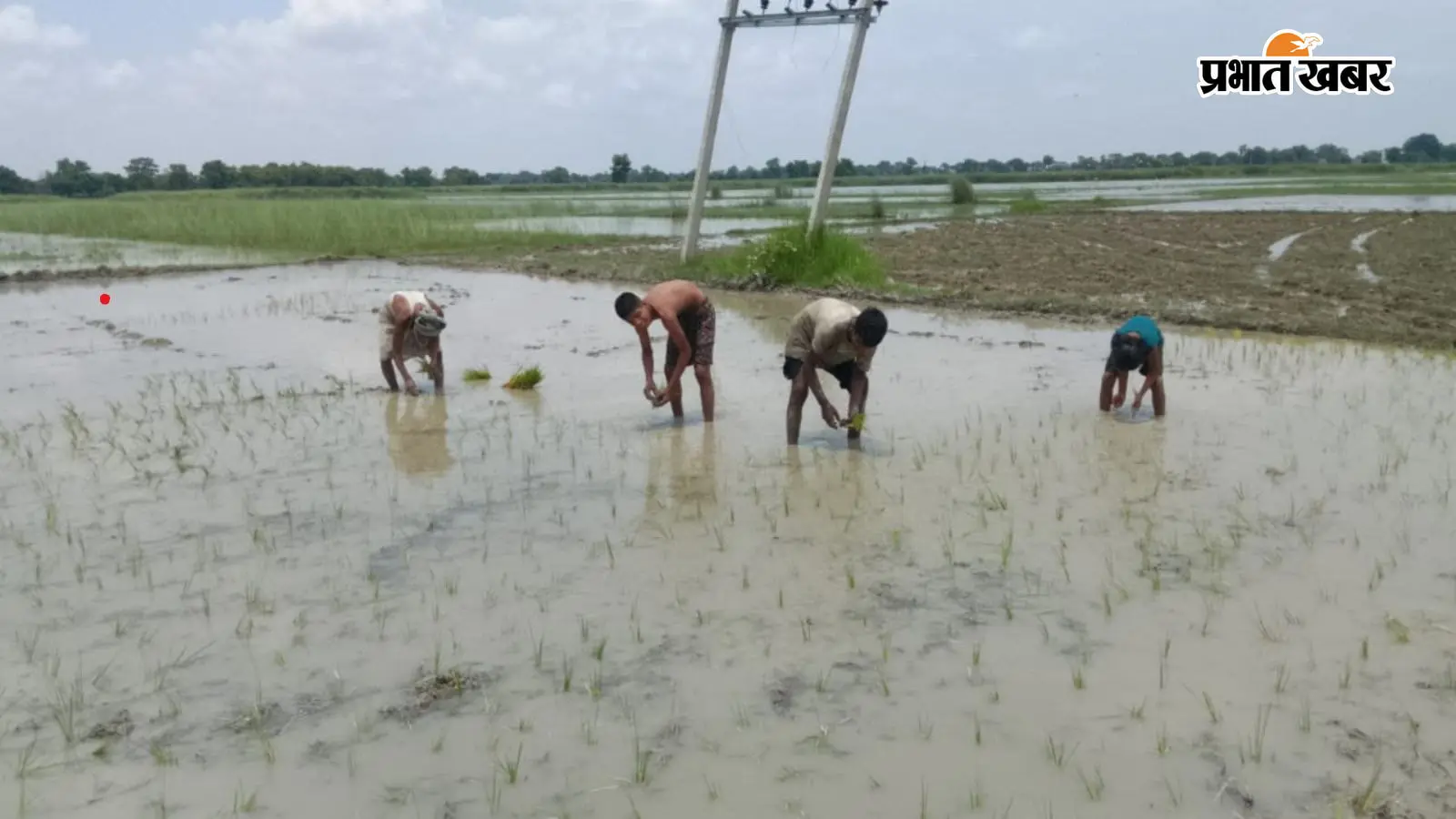 सीवान में बारिश से किसानों की बढ़ी उम्मीदें, डीजल खर्च घटने से मिली बड़ी राहत