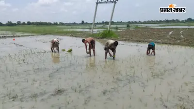 सीवान में बारिश से किसानों की बढ़ी उम्मीदें, डीजल खर्च घटने से मिली बड़ी राहत