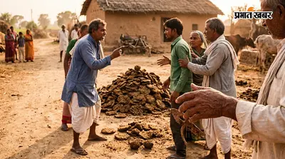 मवेशी के गोबर को लेकर शुरू हुआ विवाद मारपीट तक पहुंचा, दोनों पक्षों ने लगाए आरोप; 5 लोग नामजद