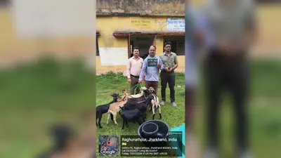पशुपालन से बढ़ेगी आय, लाभुकों के बीच बांटी गई बकरी और सूकर पालन इकाइयां