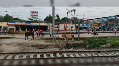 रेल यात्रियों के लिए राहत की खबर, नरकटियागंज होकर चलने वाली स्पेशल ट्रेनों की बढ़ी अवधि; जानें नया शेड्यूल