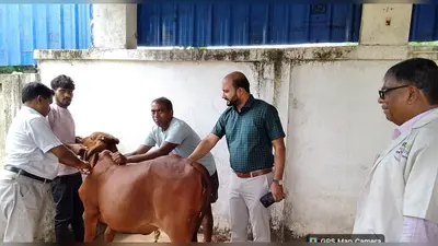 एफएमडी टीकाकरण अभियान जारी, अब तक 18,070 पशुओं को लगाया गया टीका