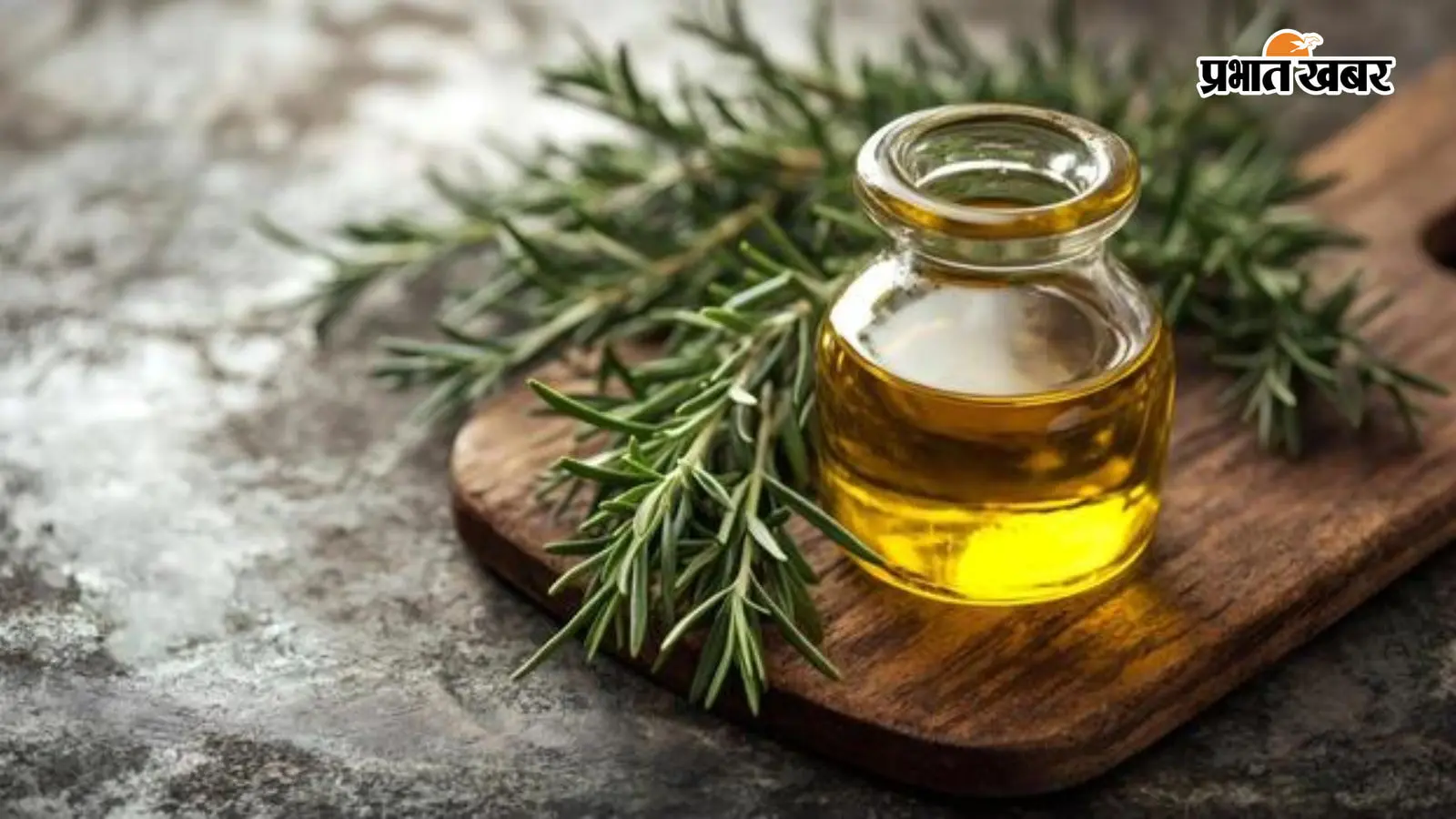 Rosemary Oil को बनाएं हेयर केयर रूटीन का हिस्सा, मिल सकते हैं ये बेहतरीन फायदे