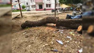 आरा: समाहरणालय परिसर में लगा कूड़े का अंबार, बार-बार शिकायत के बावजूद नहीं हो रही कार्रवाई, सफाई के नाम पर बांट रहे राशि
