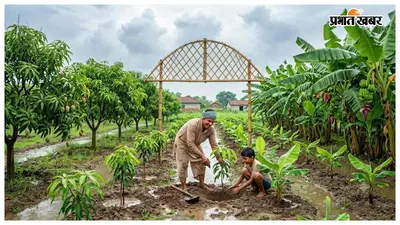 मानसून में आम और केला की बागवानी का सही समय, कृषि वैज्ञानिकों ने जारी की गाइडलाइन