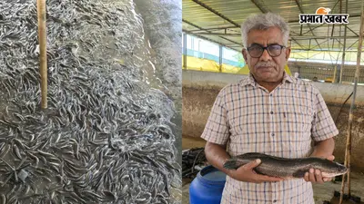मर्चेंट नेवी की नौकरी छोड़ कैप्टन मनीष ने पटना में मछली पालन से कमाए 50 लाख, एडवांस तकनीक से लिखी सफलता की नई कहानी