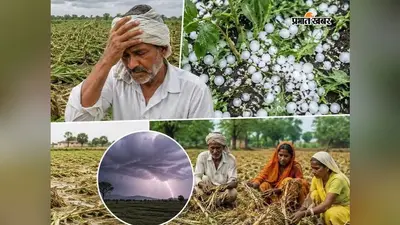 ओलावृष्टि और आंधी से फसल खराब? 20 जुलाई से कृषि इनपुट अनुदान के लिए करें ऑनलाइन आवेदन