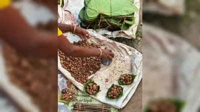 जंगल की गोद से भोजन की थाली तक: बारिश का बेशकीमती स्वाद है रुगड़ा