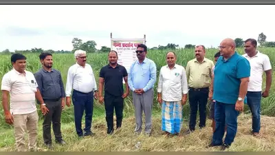 गन्ने की खेती से बढ़ेगी किसानों की कमाई? नरकटियागंज में चीनी मिल अधिकारियों ने बताया नया प्लान