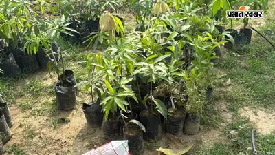 औरंगाबाद के किसान ने शुरू की विदेशी फलदार पौधों की वैज्ञानिक खेती, आधुनिक तकनीक से बढ़ाएंगे आय