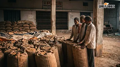 धान बेचेंगे कहां? पैक्स भंग होने के बाद रामनगर के किसानों की बढ़ी चिंता, चुनाव का भी इंतजार