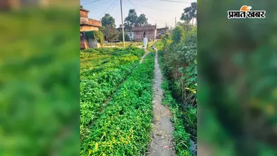 मनरेगा योजना में गड़बड़ी का खुलासा, प्राक्कलन से कम काम कर निकाली गई राशि