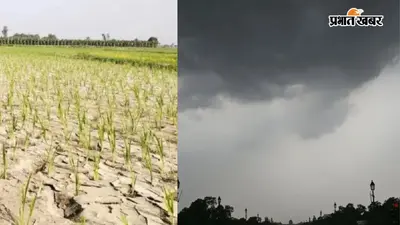 गया जी : बारिश नहीं होने से परैया में सूखे जैसे हालात, कृषक संघ ने सूखाग्रस्त घोषित करने की मांग की