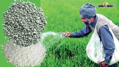 पटना: मसौढ़ी में खाद के साथ जबरन नैनो यूरिया की टैगिंग का आरोप, किसानों ने की कार्रवाई की मांग