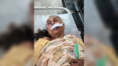 निरसा के दो दर्जन से अधिक लोगों को पागल कुत्तों ने काटा