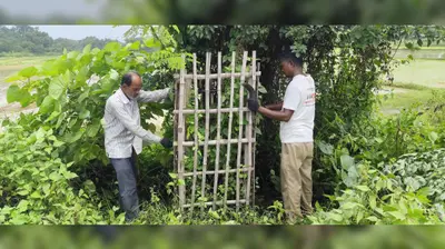 गालूडीह-नरसिंहपुर मार्ग पर वन विभाग ने की झाड़ियों की सफाई