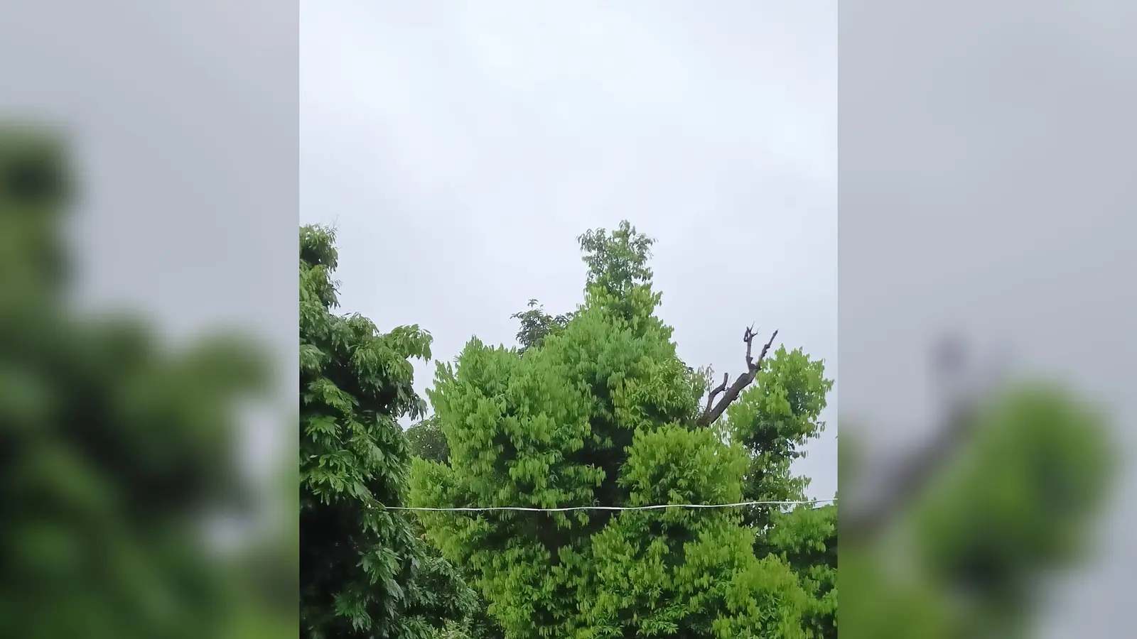 पूर्णिया में बारिश संग ठंडी बयार से मौसम हुआ खुशनुमा: झमाझम फुहारों के बीच 'मिनी दार्जिलिंग' सा अहसास