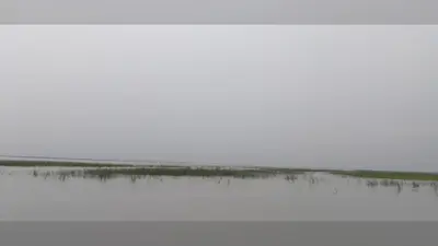 नेपाल की बारिश से बढ़ी बिहार की टेंशन! गंडक नदी का जलस्तर बढ़ा, लोगों से सतर्क रहने की अपील