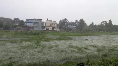 किशनगंज में मूसलाधार बारिश से 'फ्लैश फ्लड' का खतरा: नेपाल और बंगाल के पानी से उफान पर नदियां