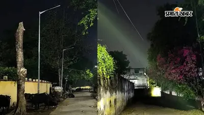 भागलपुर में 8 साल से नहीं खरीदी गई नई स्ट्रीट लाइट, आधे से ज्यादा खंभे अंधेरे में, श्रावणी मेला से पहले भी नहीं सुधरेगी व्यवस्था